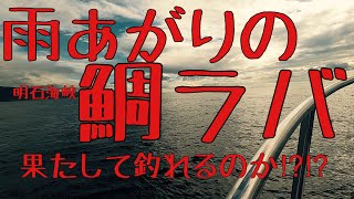 6月後半の明石海峡で鯛ラバ！！前日2日間雨の後の海に出る！！