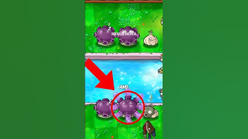 The best strategy in PvZ is not what you think