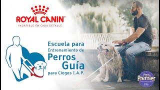 Royal Canin Patrocinador de la Escuela para Entrenamiento de Perros Guía para Ciegos I.A.P.