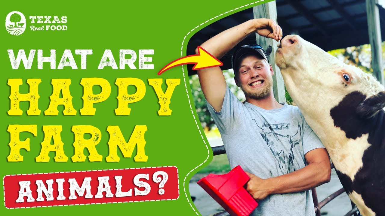 happy farm animals