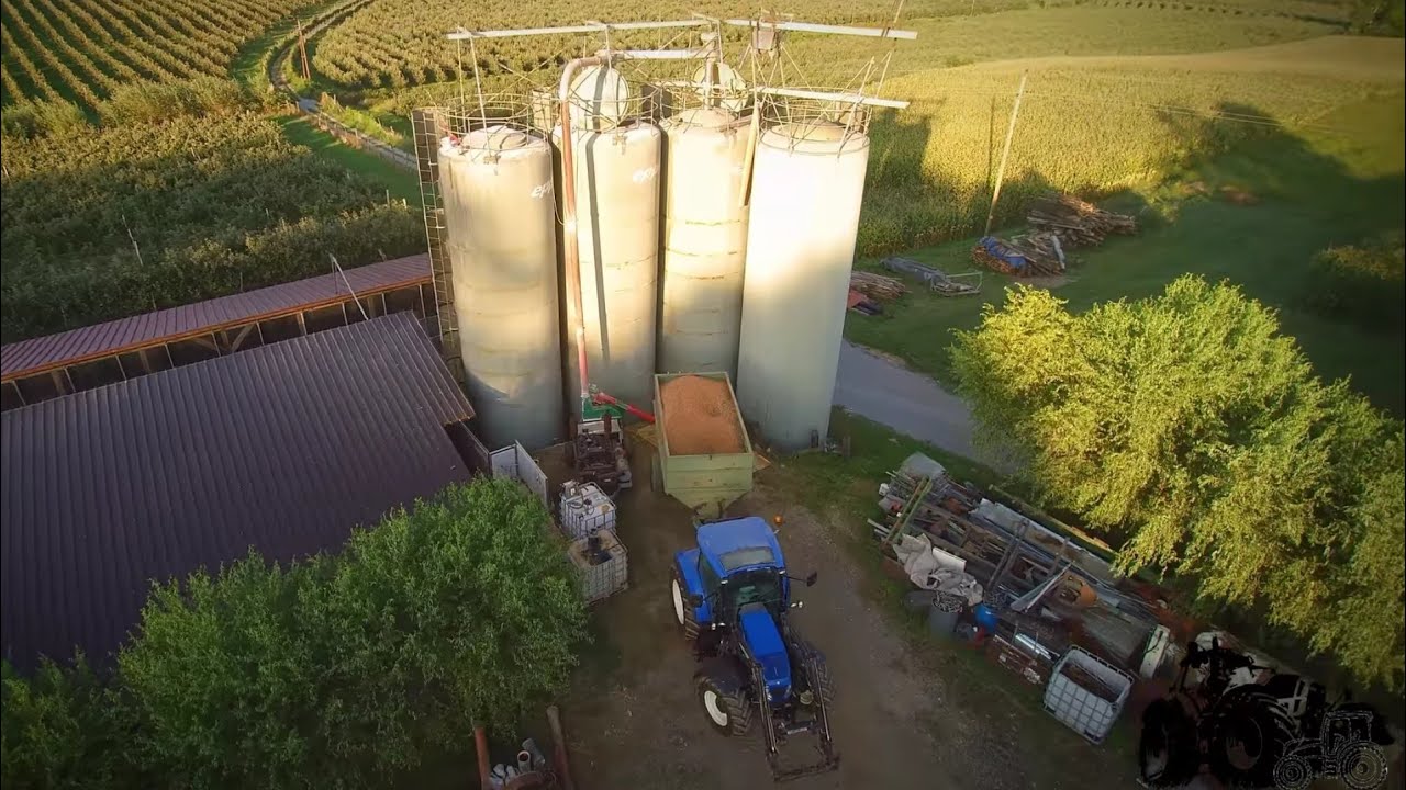 MAN V10 POWER | MUS-MAX 99 | HIRSE DRESCHEN | MAHLEN | NEW HOLLAND CX8050