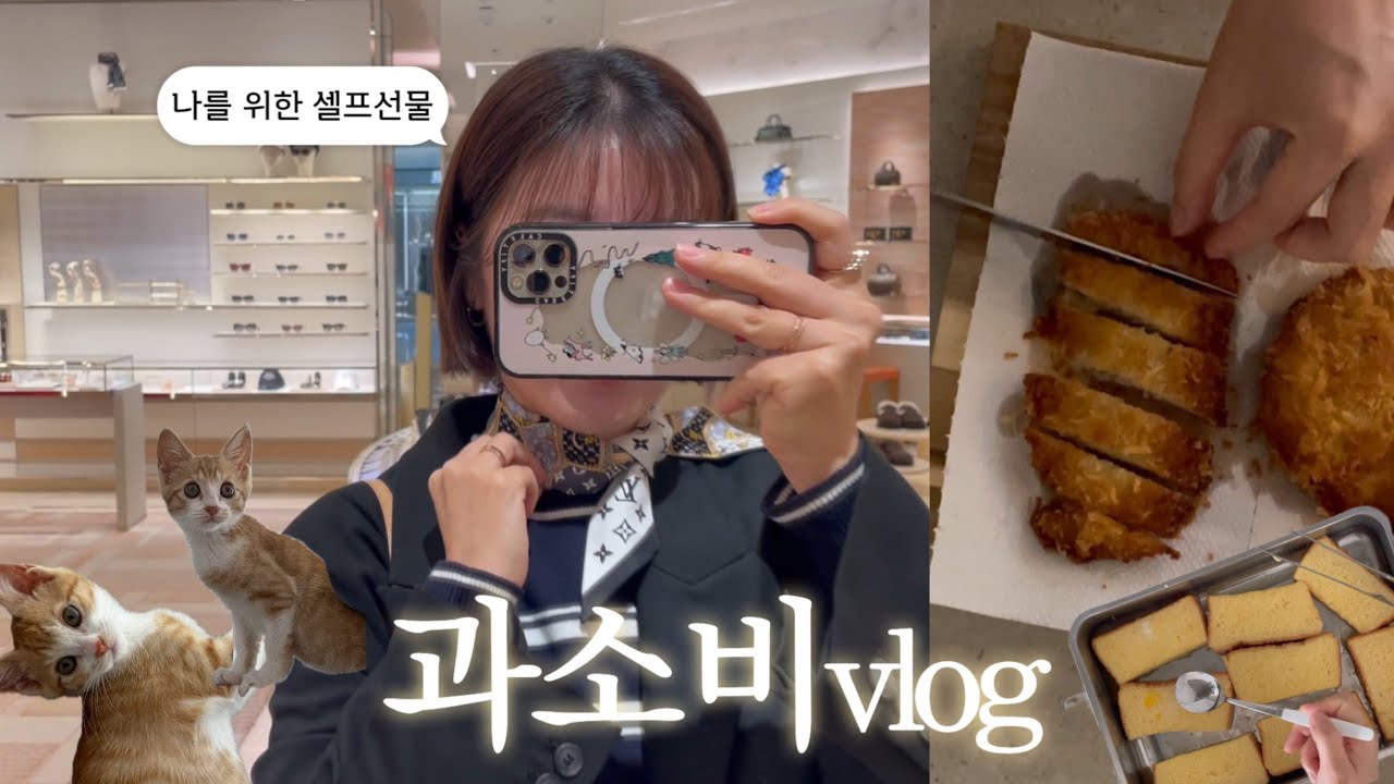 과소비 브이로그🌪️｜가을맞이 셀프선물 루이비통 방도, 코스트코 폭풍쇼핑, 돈까스나베만들고 톳조림덮밥하기