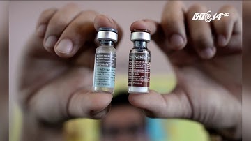 (VTC14)_Chưa thể lưu hành vaccine phòng bệnh sốt xuất huyết