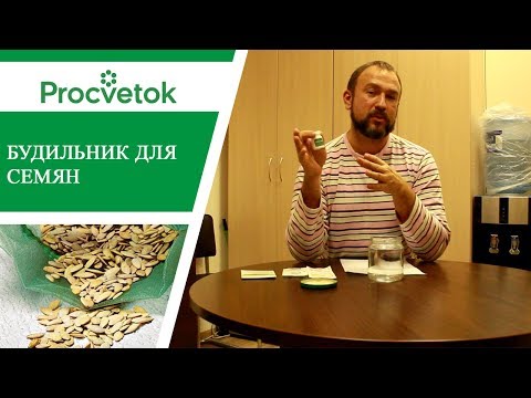 Как повысить всхожесть семян простой способ.