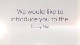 Cacay Nut