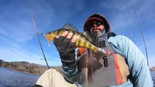 Information Winter Bass Fishing! and Trophy Perch Fishing Update