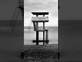 Stretching forms of imagery. Kosuke Okahara