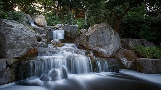 Relaxing เพลงผ่อนคลาย เพื่อการพักผ่อน