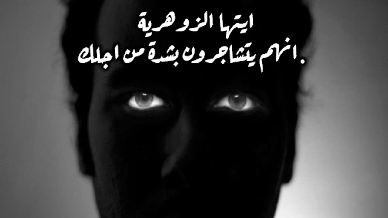 أيتها الزوهرية، إنهم يتشاجرون بشدة من أجلك