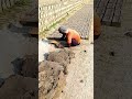 Number one traditional brick making. #shorts #brickmaking #brickfield #ziegel #batubata