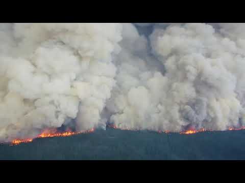 ENR - Role of Wildfire in Forest Ecology
