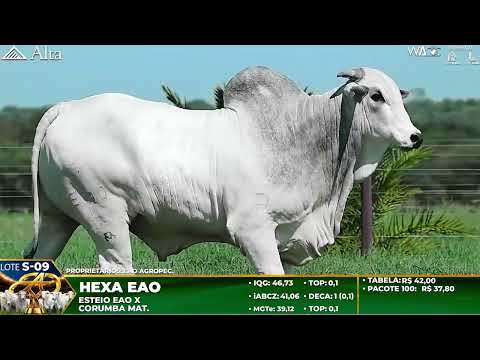 LOTE S09   HEXA DA EAO   EAO C 4456
