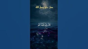 #قران_كريم #قرآن #تلاوة_خاشعة #quran #islam #foryou #fyp #اكسبلور #المغرب #مصر #الجزائر #مكة