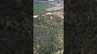 VENTA Proyecto SENDEROS DE ACULEO PAINE - REG METROPOLITANA