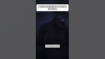 Unveiling the Universe