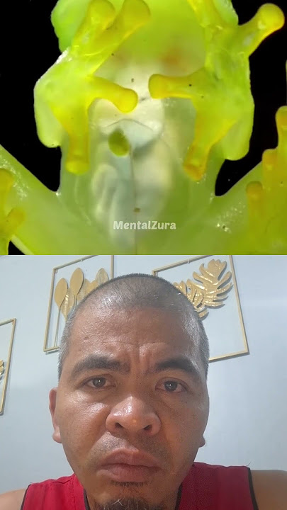 😱😱😱 amazing!