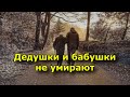 Дедушки и бабушки не умирают, они живут в наших сердцах.