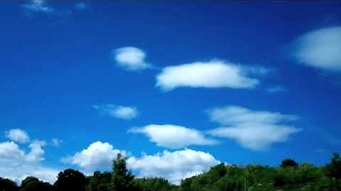 First Friendship - Lars Bartkuhn