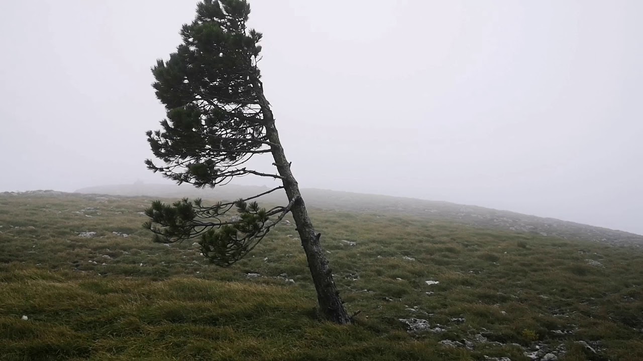 Trovare un uomo a 37 anni