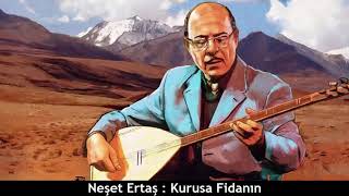 NEŞET ERTAŞ : KURUSA FİDANIN Resimi