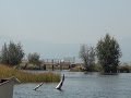 Canoeing the Upper Wood River, Fort Klamath, Or