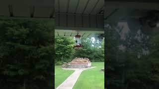 Buzzing around Lufkin Texas