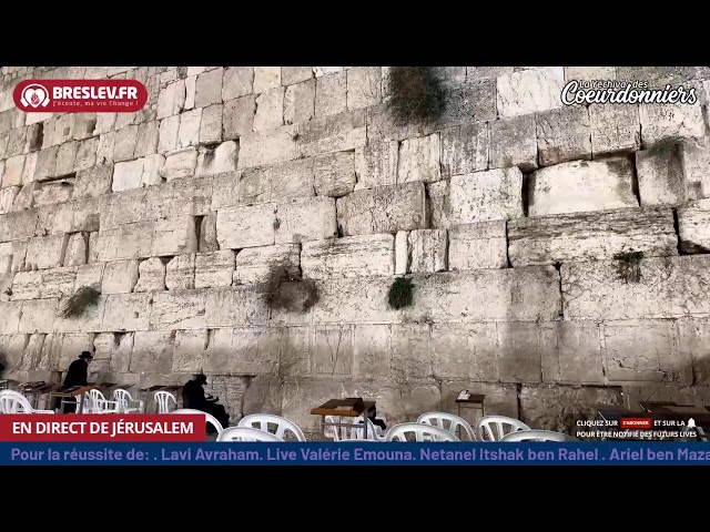 Tikoun Haclali ensemble - 29 Oct - Breslev- Ouman-