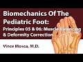 Biomechanics Of The Pediatric Foot: Principle 05 & 06 [Muscle Balancing & Deformity Correction]