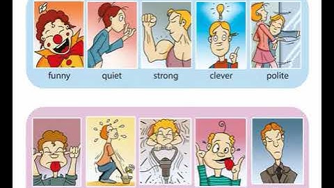 Excel 5 Module 3 Character adjectives