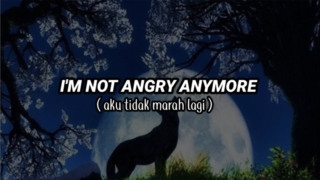 I am not angry anymore. I'M not Angry anymore.