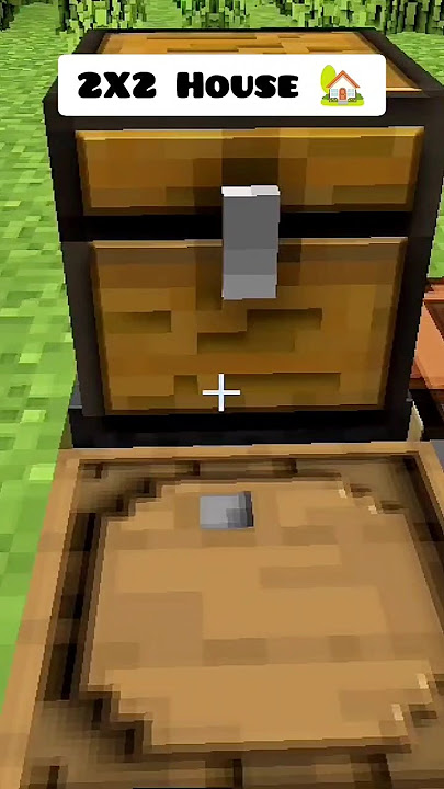 Minecraft 2X2 House #shorts