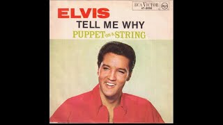 Watch Elvis Presley Tell Me Why video