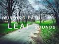 Relaxing POV Run in Japan | Winding Path &amp; Leaf Sounds