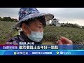 台灣水果價格波動