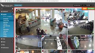 Eagle Eye Security VMS User Interface screenshot 4