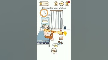 Brain Find Level 105 There are too many rats here.