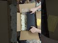 2025 Davey Awards - Unboxing Two Trophies