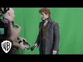 Fantastic Beasts and Where to Find Them | Eddie Redmayne Interview | Warner Bros. Entertainment