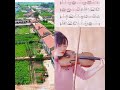 violin