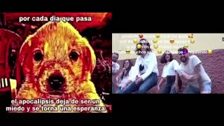 CADA DIA QUE PASA EL APOCALIPSIS DEJA DE SER UN MIEDO Y SE TORNA UNA ESPERANZA 😰😭😰