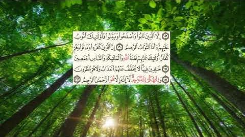 سعد الغامدي -سورة البقرة صفحة - 24- (page (alba9ra