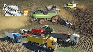 видео: FS19 |Карта Кошмак| Уборка поля с подсолнухами 66,9Га, Fendt 9490X, Claas Lexion 7700, JD790, Scania картинка: FS19 |Карта Кошмак| Уборка поля с подсолнухами 66,9Га, Fendt 9490X, Claas Lexion 7700, JD790, Scania