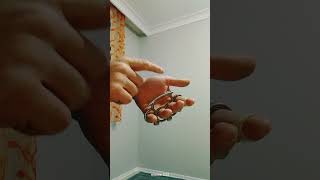 Muşta Nasıl Kullanılır?