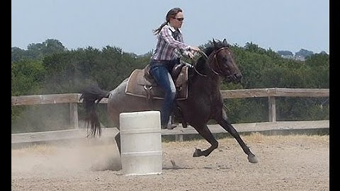 Vera    ***For info, price, etc., go to our website*** Valley View Ranch