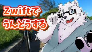 【Zwift】運動モチベ、アリ【Vtuber/北見ユウ】