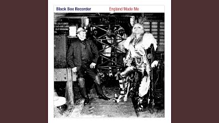 Video thumbnail of "Black Box Recorder - Wonderful Life"