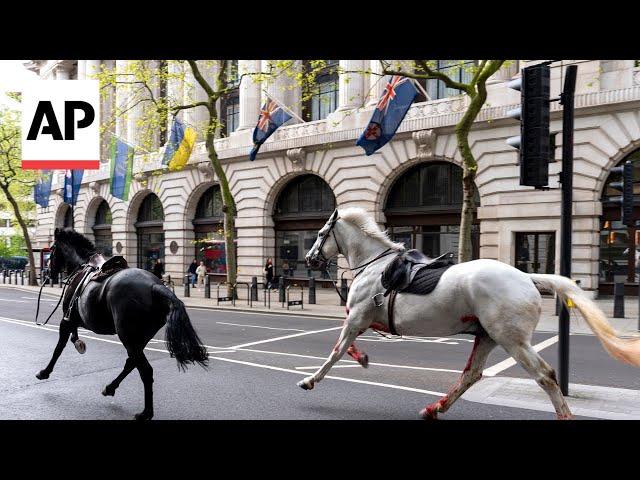 Military horses run loose in central London, injuring 4 people and causing havoc