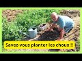 Savez-vous planter les choux à la mode de Philippe ?