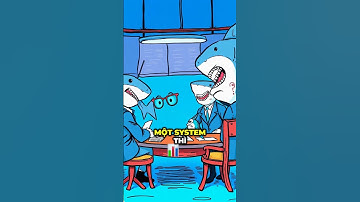 Tập 802- Vì sao cá mập luôn có system, còn trader nhỏ lẻ toàn trade theo cảm xúc