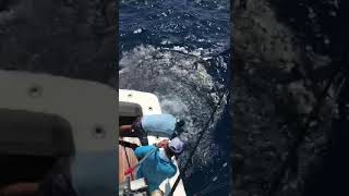 2020 Bisbee's East Cape Offshore | Quitena | Striped Marlin
